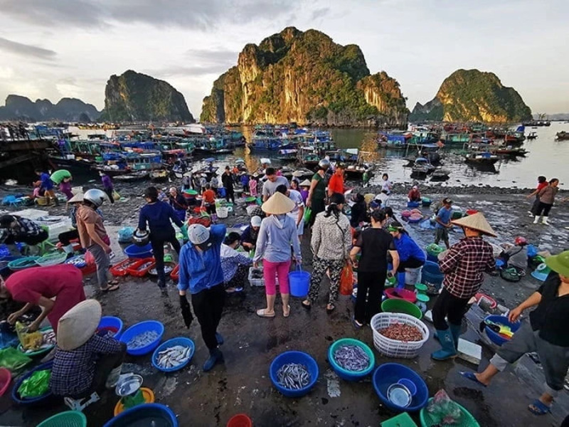 so sánh Bãi Cháy và Hòn Gai